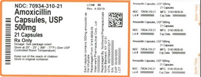 Label - 70934 310 21   Rev A 03 19